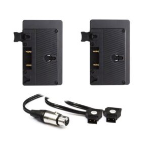 Hive Lighting Hornet 200-C Dual Gold Mount =