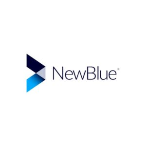NewBlue 10 Hour Professional Services =